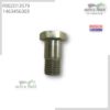 F002D13579 PARAFUSO VAZADO EPS815 1463456303